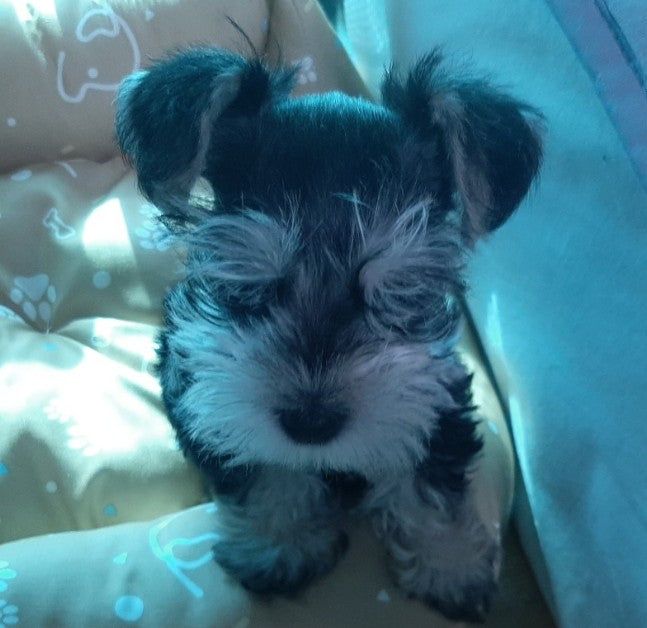 건강하게 자라다오
