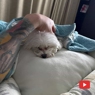 해외분양후기 : 뉴욕 (Thanks to New York)