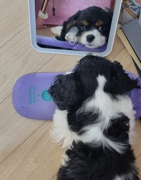 첫 만남에 가족들을 사르르 녹여버리는...♥