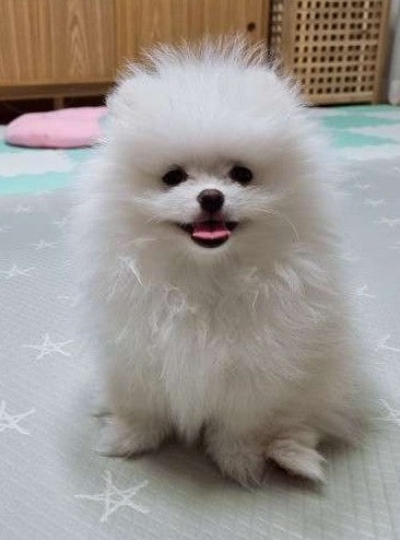 부천점에서 이쁜아기 데려왔어요^^
