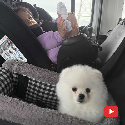 해외분양후기 : 샌프란시스코 (Thanks to San Francisco)