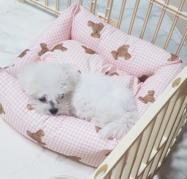 입양 후 3주차입니다.