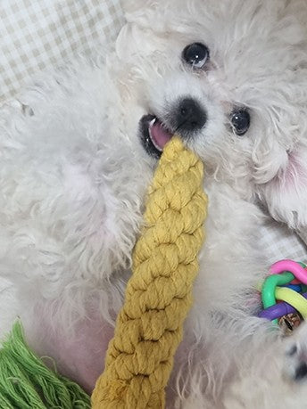 우리 집에 온 아가