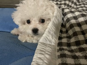 첫눈에 반하는 친구