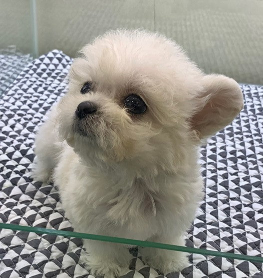 강남점에서 만난 인연 우랑이입니다