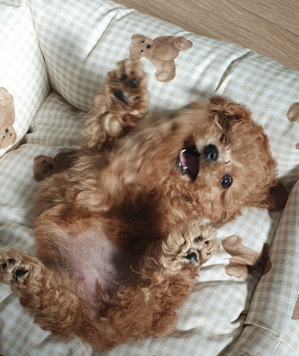 새로운 인연