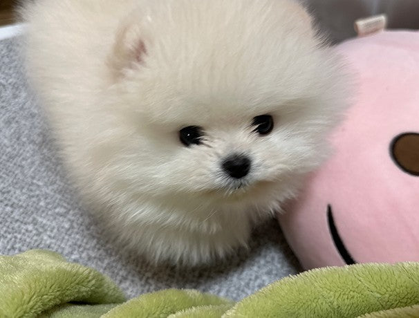 오늘 도착했어요!!바로 후기씁니당