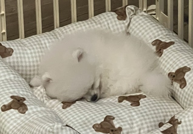 눈에 넣어도 아프지 않은 우리아기