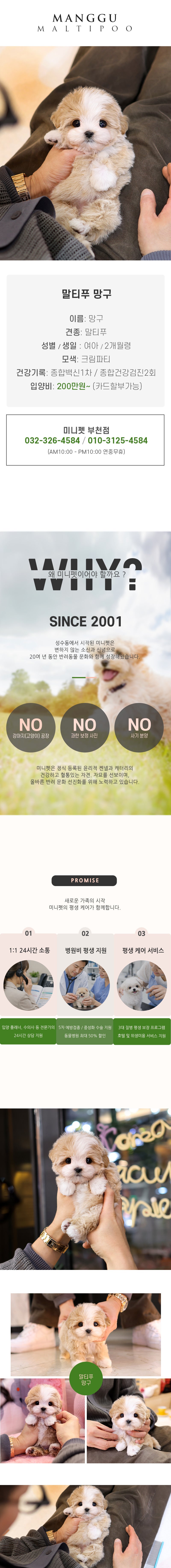 말티푸 - 망구 (여아)