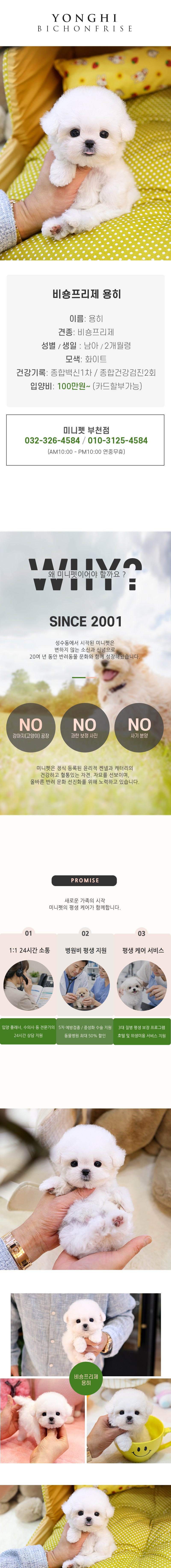 비숑프리제 - 용히 (남아)