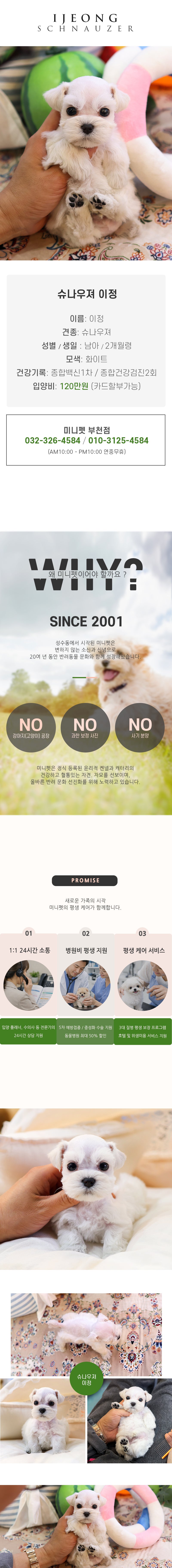 슈나우져 -이정 (남아)