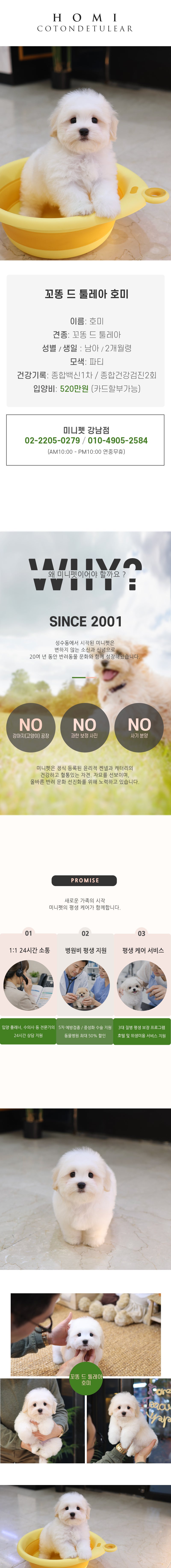 꼬똥 드 툴레아 - 호미 (남아)