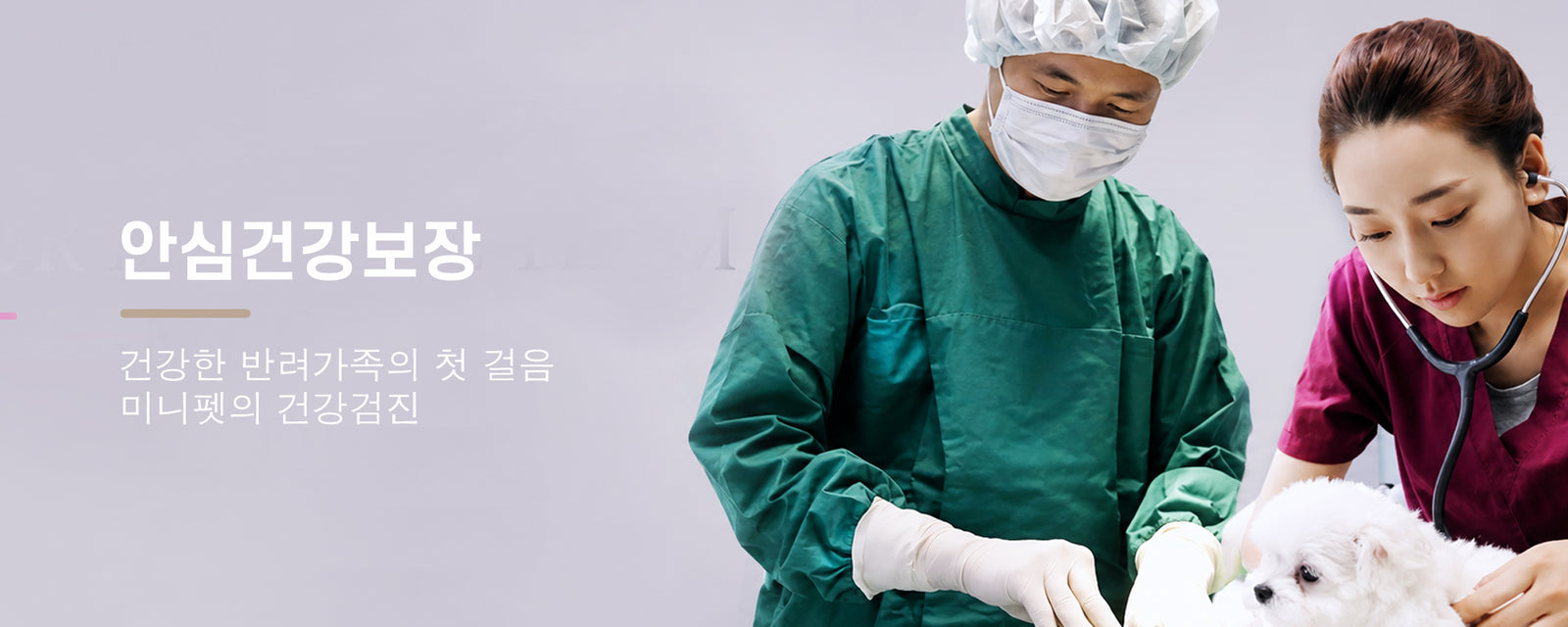 Promotional banner