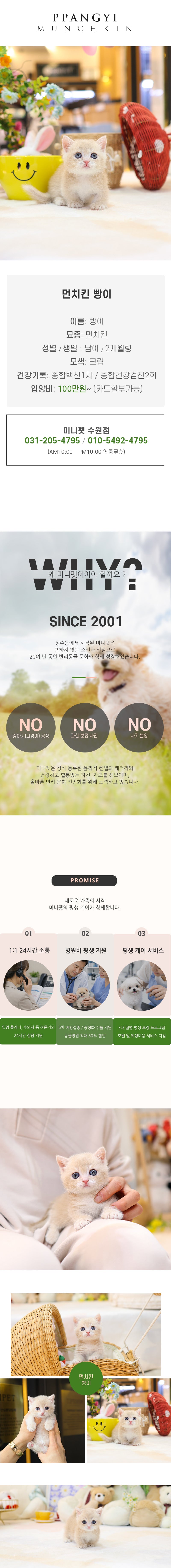 먼치킨 - 빵이 (남아)