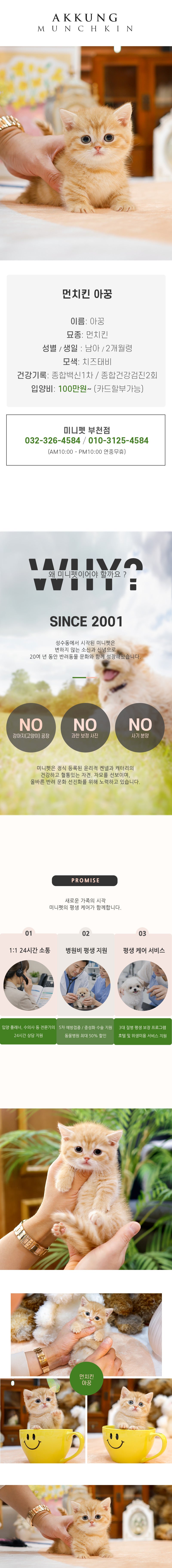 먼치킨 - 아꿍(남아)