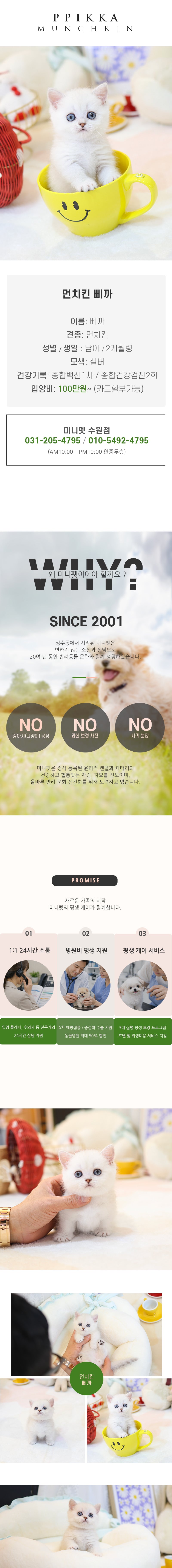 먼치킨 - 삐까 (남아)