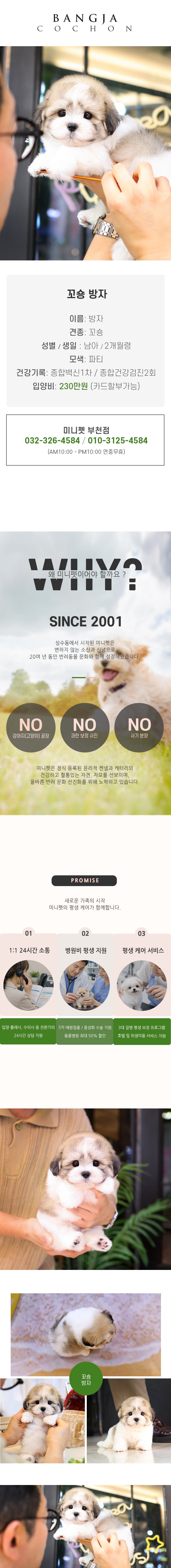 꼬숑 - 방자 (남아)