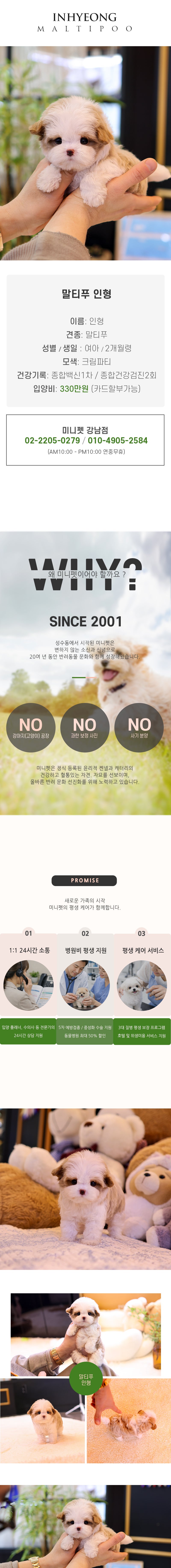 말티푸 - 인형 (여아)