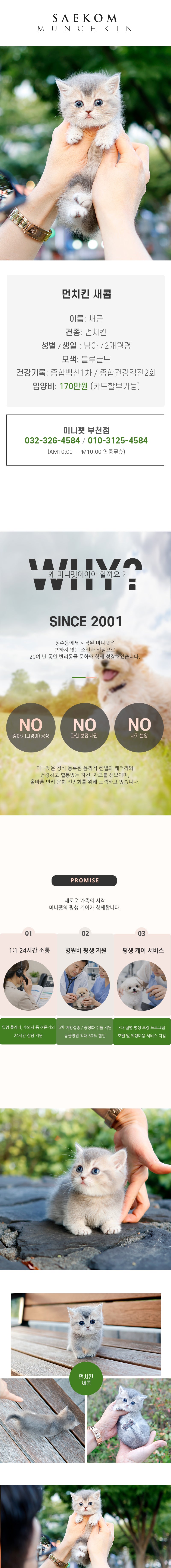 먼치킨 - 새콤 (남아)